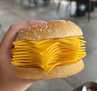 Burgerslices with red cheddar 1.082 kg (ct=9pz)