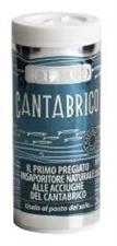 Insaporitore alle acciughe del Cantabrico barattolo 80 gr