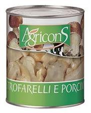 Funghi porcini stroffarelli in olio in latta