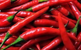 Salsa di peperoncino monodose da gr. 8 (ct=200pz)
